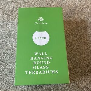 Wall Hanging Glass for plants